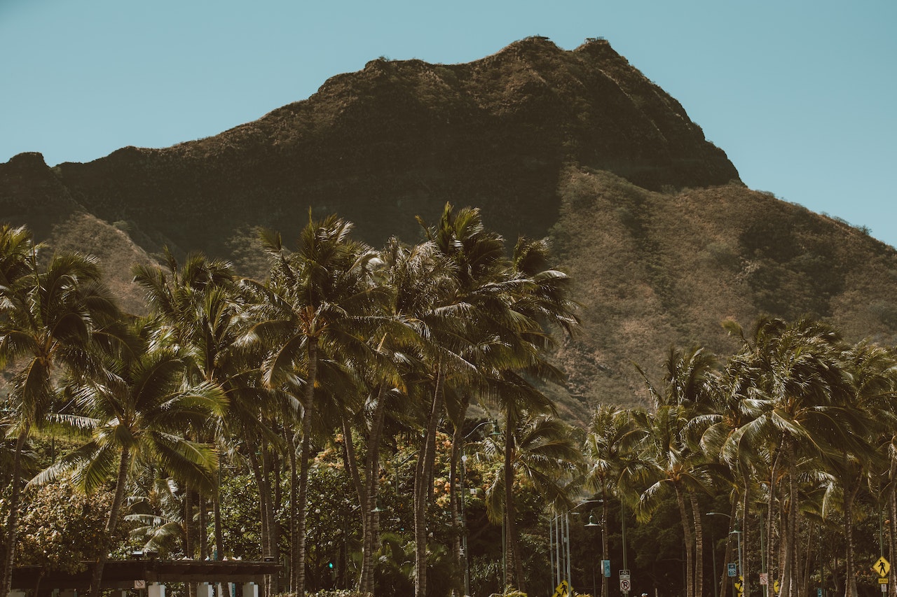 Diamond Head Hike Hawaii