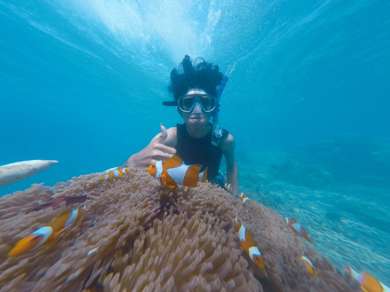 Hawaii Snorkeling