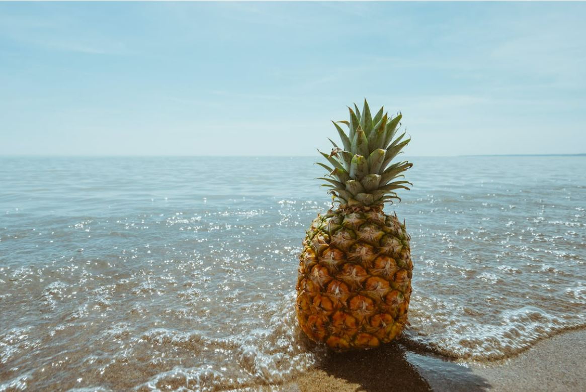 Hawaiian Pineapple on the Beach