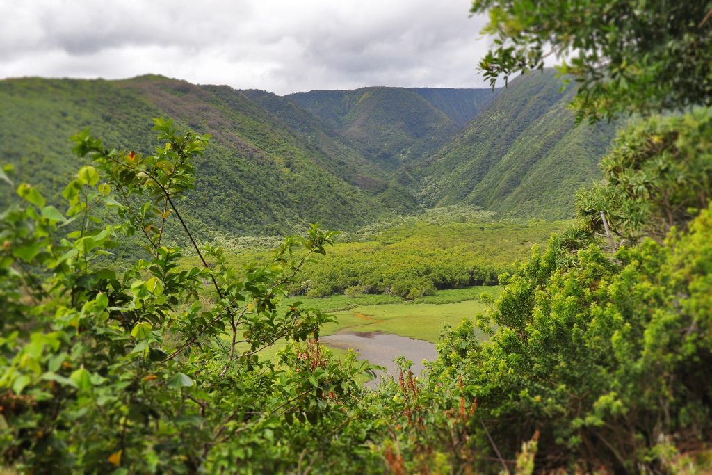 Pololu Valley Trail