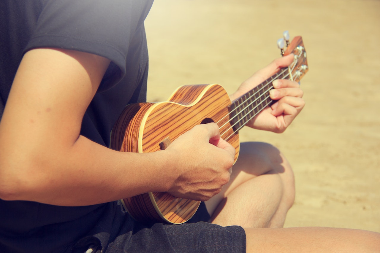 Hawaii's Ukulele