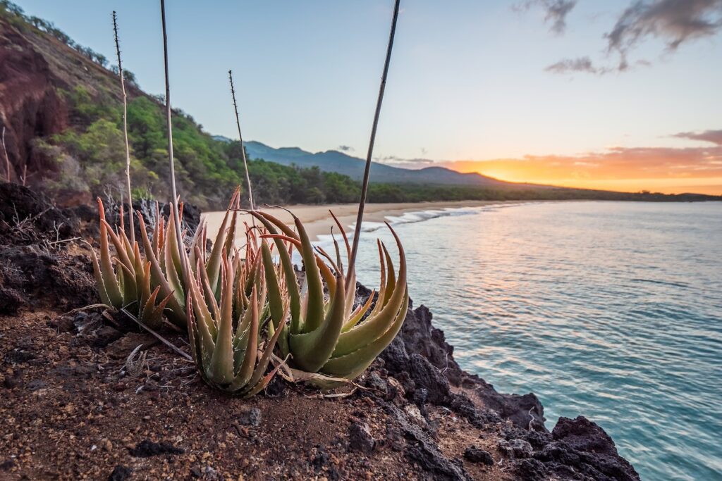 Cities to Stay on Maui