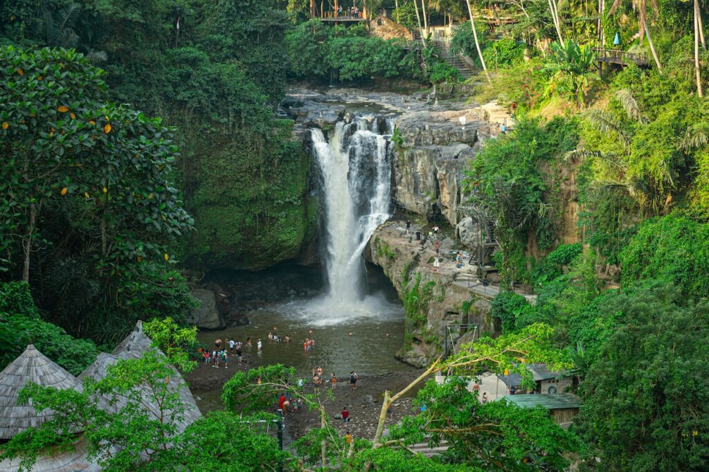 Manoa Falls Trail