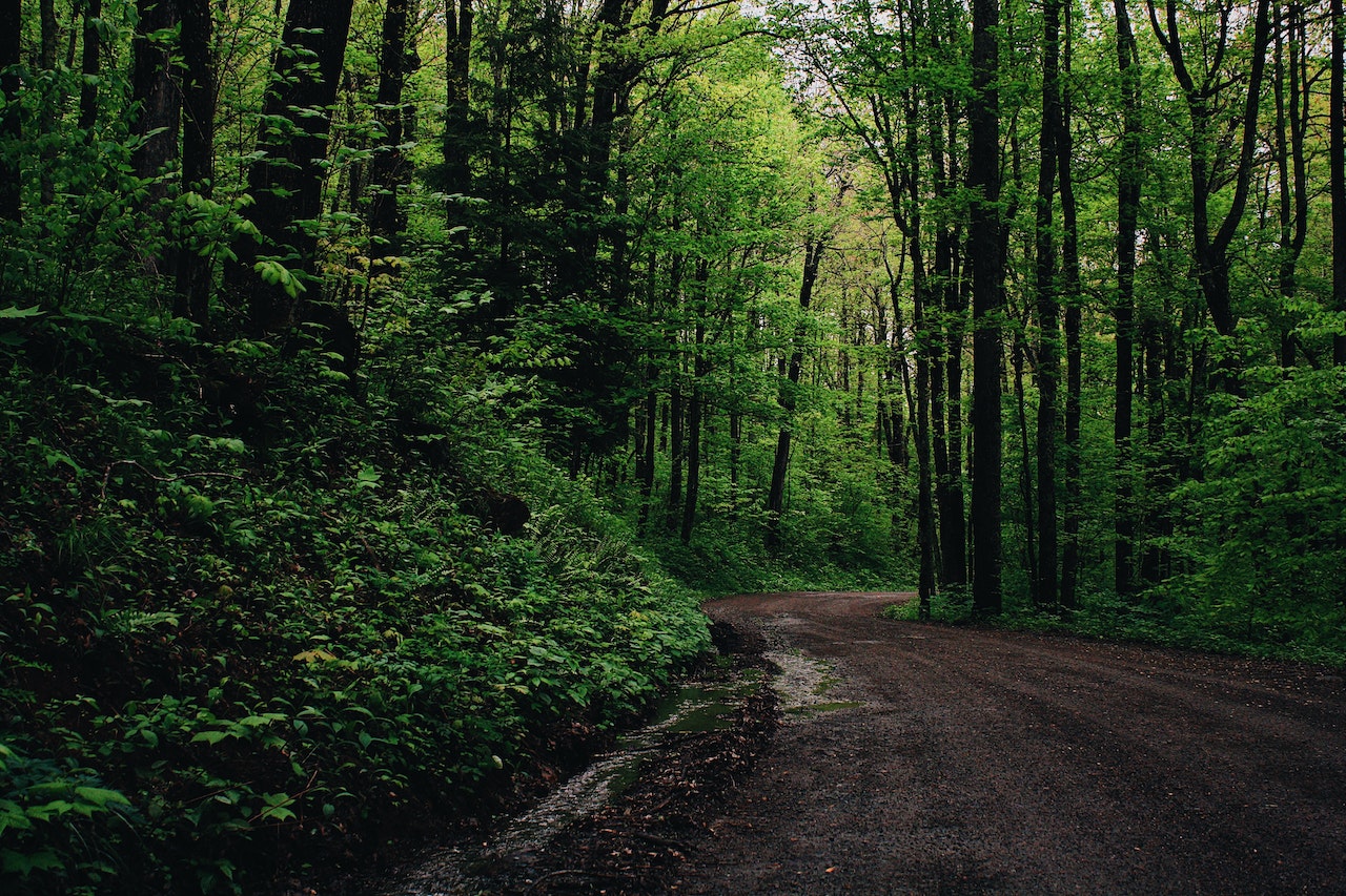 Hiking the Tom Tom Trail