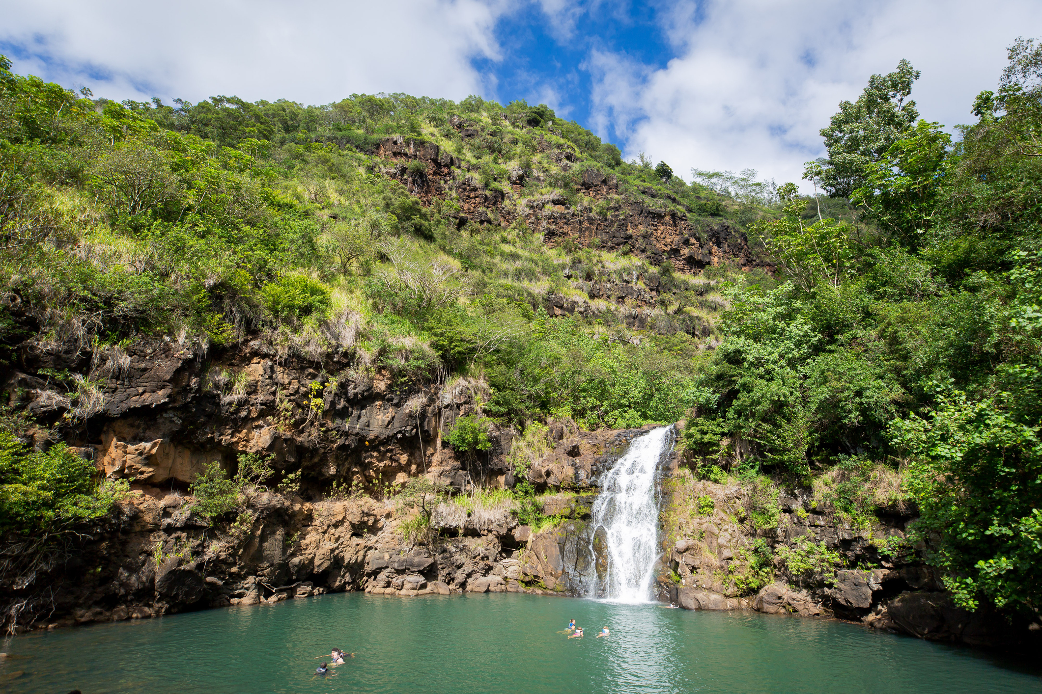 Waimea fall