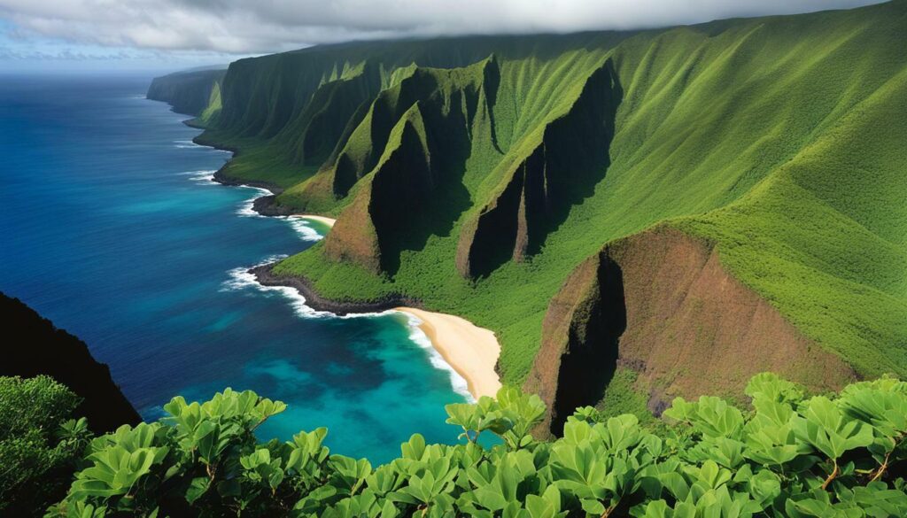 Molokai Sea Cliffs