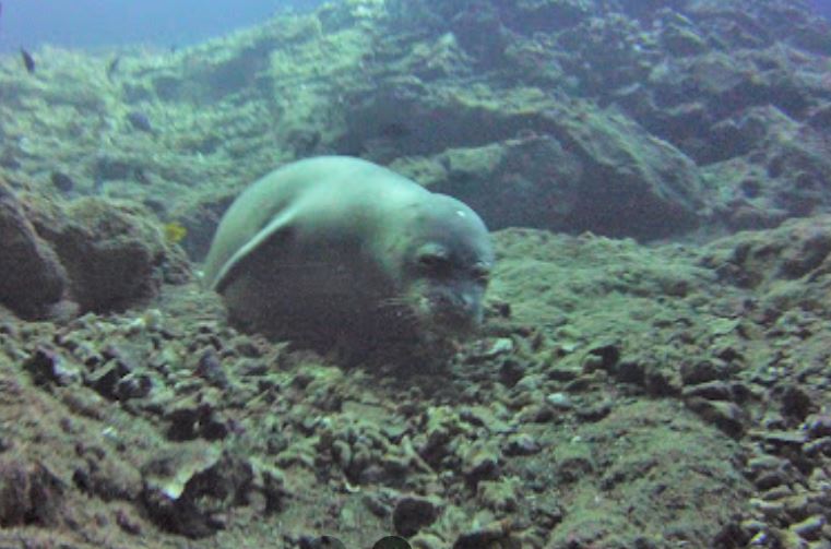 Oahu Sea Cave