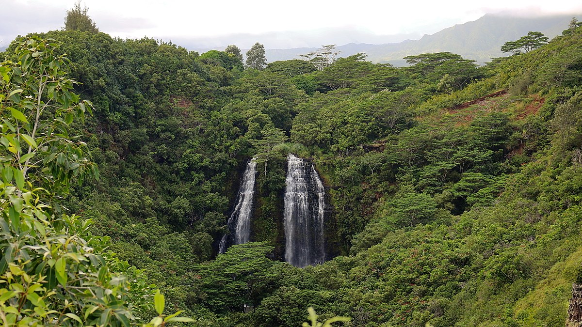 Opaekaa Falls