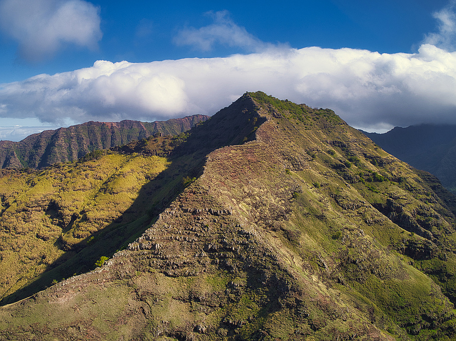 Ridge Hike in Hawaii - KEAAU LOOP TRAIL