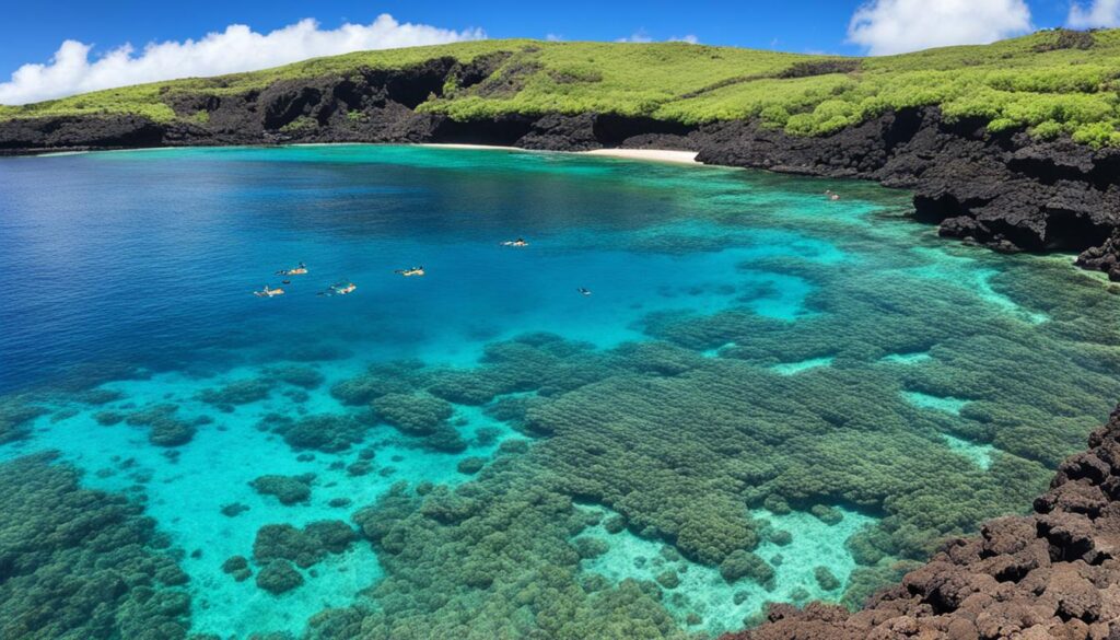 Snorkeling spots on Maui